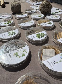 Atelier préhistorique "Au fil des plantes"_Cluses