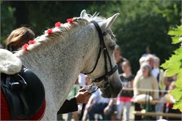 Concours de Dressage - Pixabay