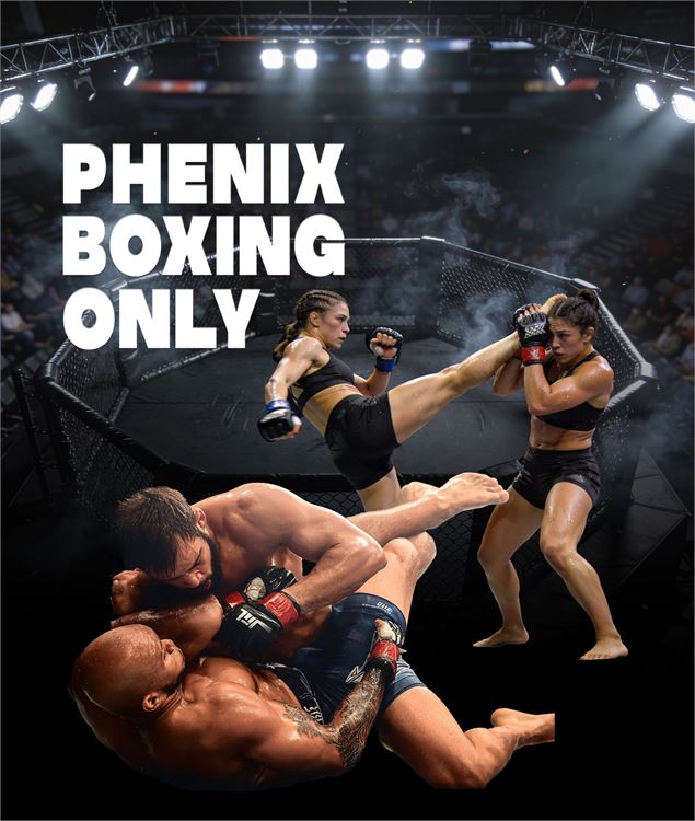 PHENIX BOXING ONLY N°13 - Infographiste Elodie Cogne
