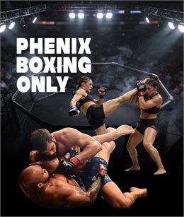 PHENIX BOXING ONLY N°13 - Infographiste Elodie Cogne