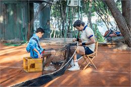 "Il Maestro" - Andrea Di Stefano