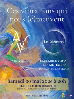 Affiche Concert - Les Météores