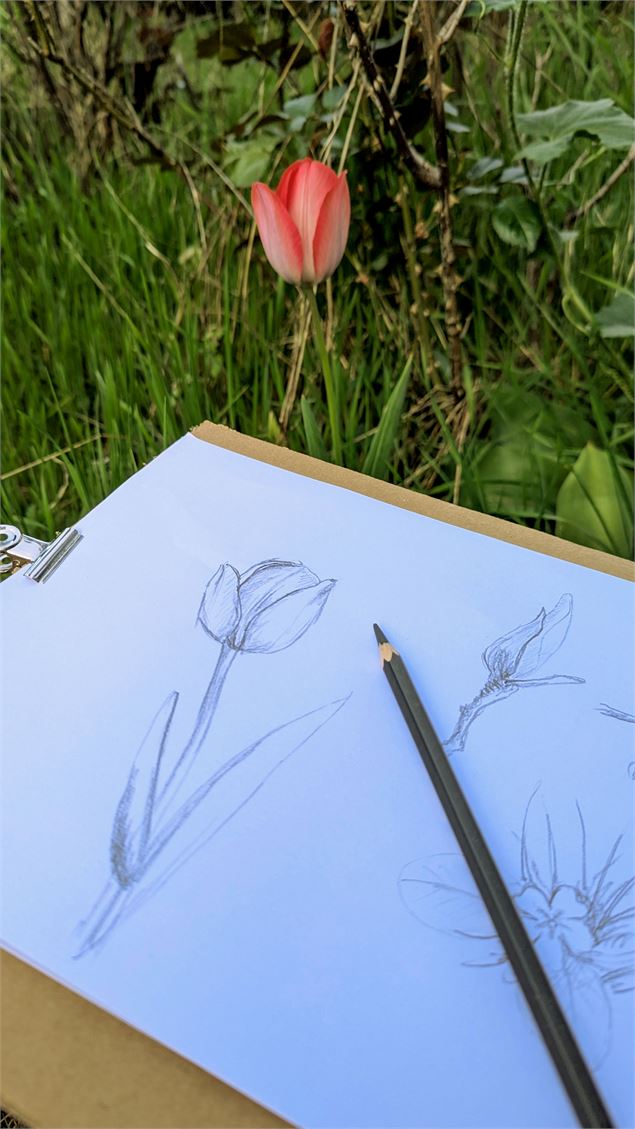 Carnet d'art en Balade - lindsay leboeuf