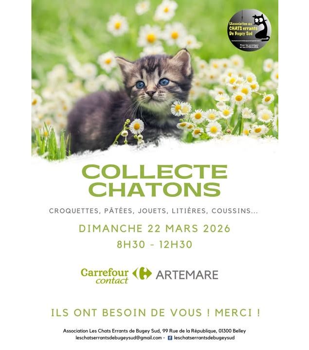 Collecte de nourriture et objets pour chatons_Artemare - Chats Errants de Bugey Sud