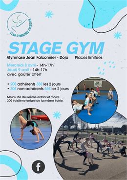 Stage de gymnastique_Culoz-Béon - Elan Gymnique Culozien