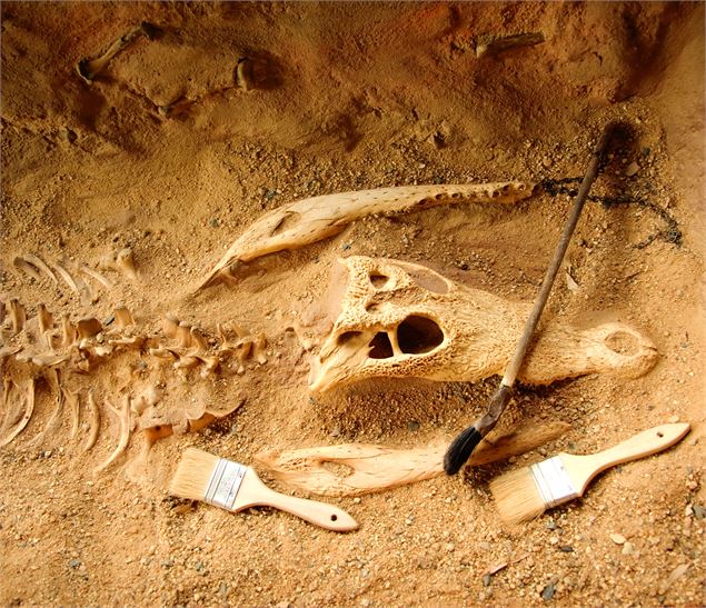 Mini-fouilles archéologiques_Cluses - Canva