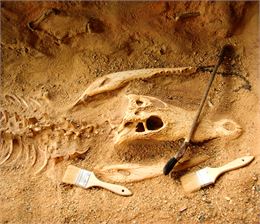 Mini-fouilles archéologiques_Cluses - Canva