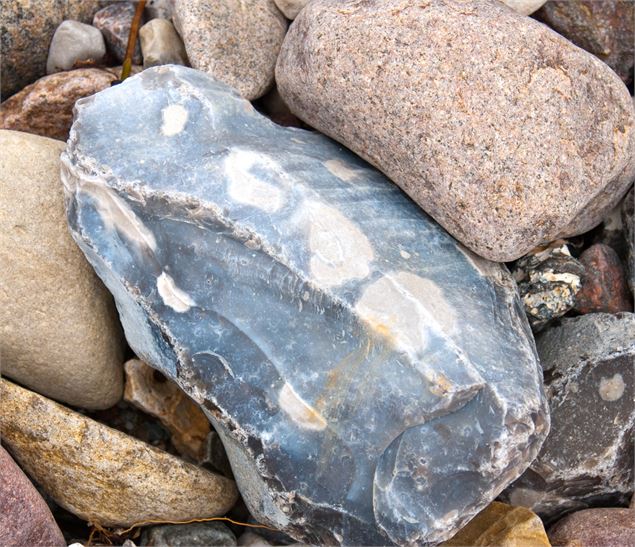 Démonstration de taille de silex_Cluses - Canva