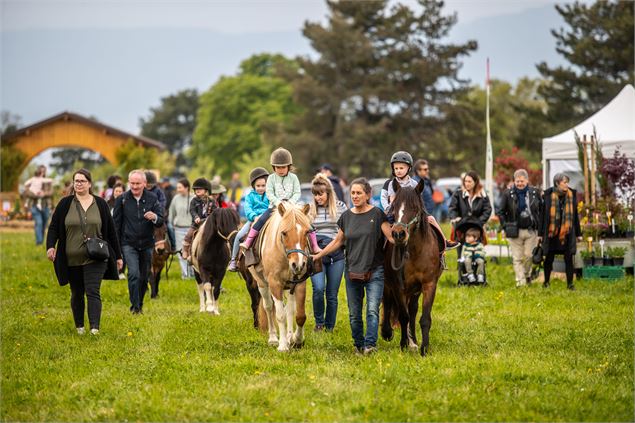 Des enfants à dos de poneys - JyHell