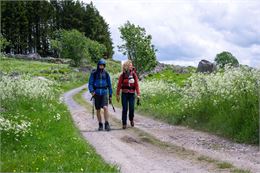 Compostelle - Copyright 2025 Marie-Camille Orlando - Eveya Productions - Page Films - Apollo Films D