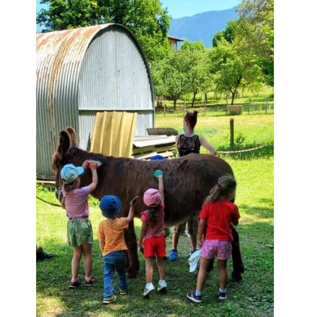 Des enfants en train de brosser un âne - Destination Thonon