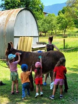 Des enfants en train de brosser un âne - Destination Thonon