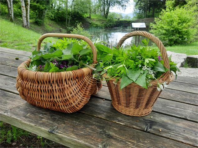 Panier de plantes aromatiques - Yoann Leblan