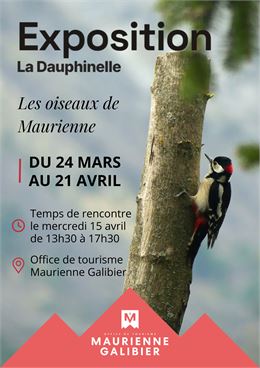Exposition - Les oiseaux de Maurienne_Saint-Michel-de-Maurienne - OTI Maurienne Galibier