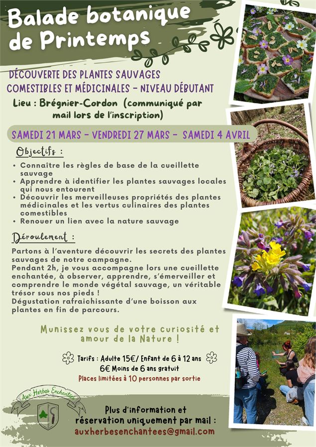 Balade botanique de printemps_Brégnier-Cordon - Aux herbes Enchantées