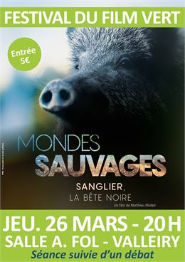 FESTIVAL DU FILM VERT : SANGLIER, LA BÊTE NOIRE_Valleiry - Matthieu Maillet