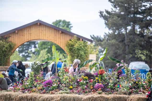 Un champs fleuri - JyHell