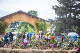 Un champs fleuri - JyHell