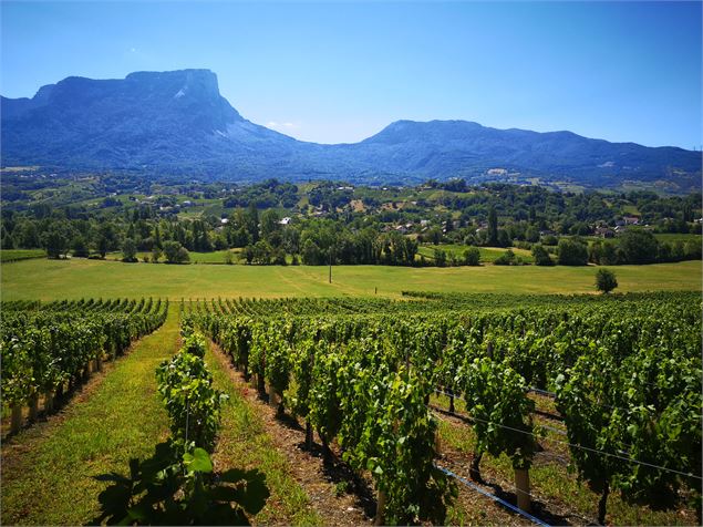 Apéro'Vignes - Granges Longes