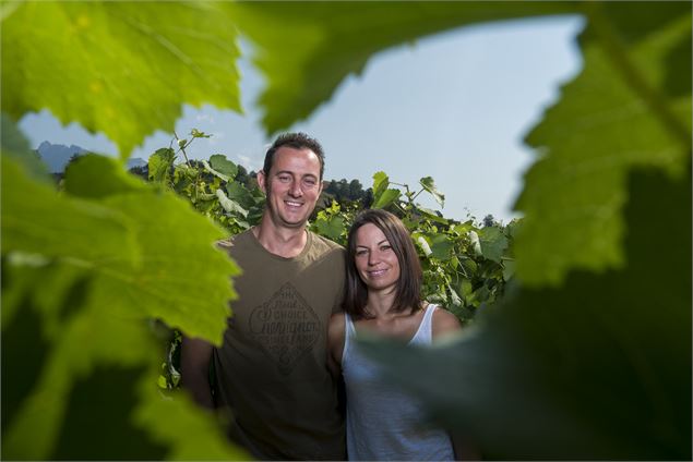 Apéro'vignes au Domaine Vendange