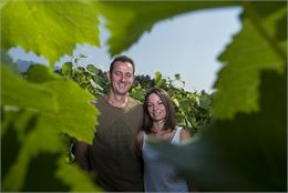 Apéro'vignes au Domaine Vendange
