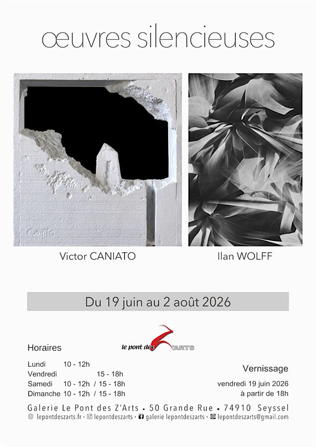 Exposition photo camera obscura et sculptures_Seyssel - Le Pont Des Z'Arts