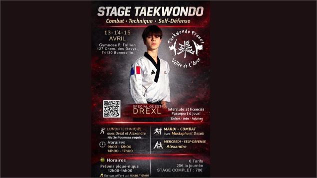 Taekwondo - stage technique / combat / self défense_Bonneville - Il Go Dojang