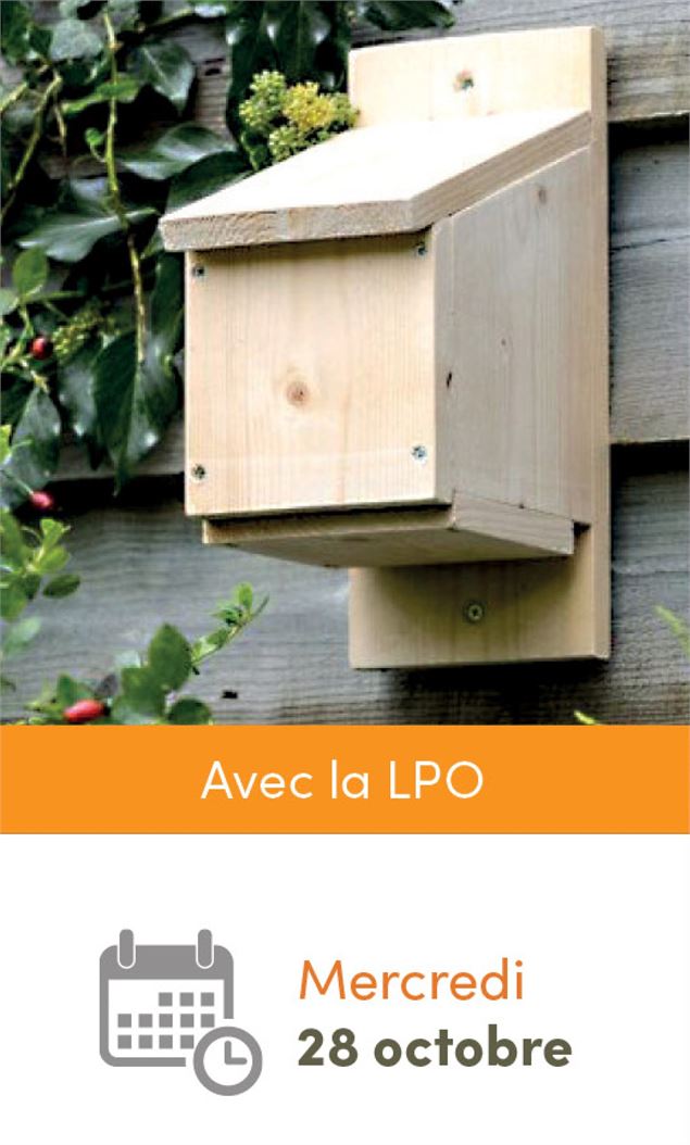 SPECTACLE - Animation contée sur les chauves-souris_La Boisse - 3cm