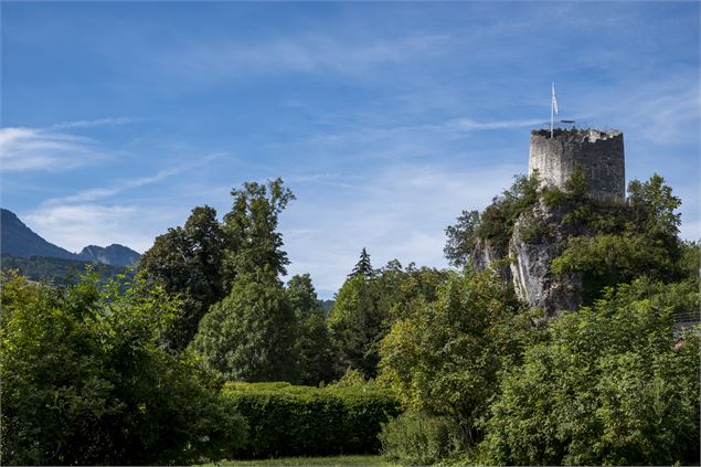 Tour des comtes de Genève - Gilles Bertrand