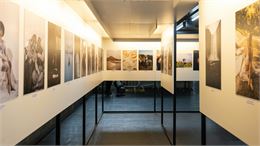 Exposition - Dans mon jardin, il y a..._Bonneville - OTFG