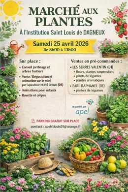 Marché aux plantes - marché aux plantes