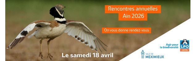 Rencontres annuelles LPO - LPO AURA Ain