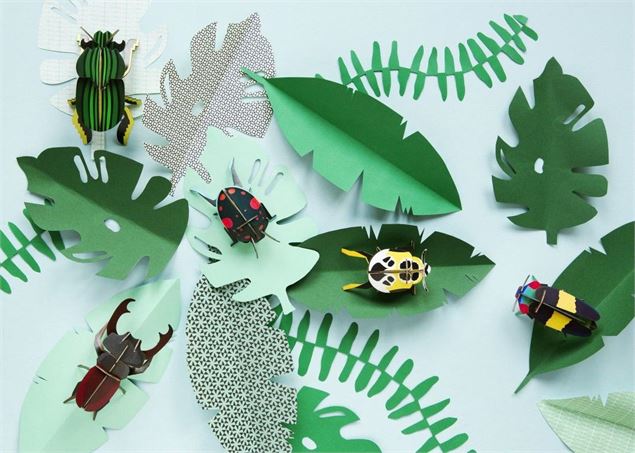 Afffiche - Maison de l'eau et de la nature