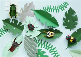 Afffiche - Maison de l'eau et de la nature