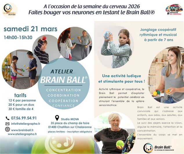 Infographie Brain Ball - Copyright 