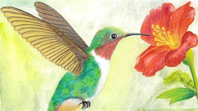 Conte, jeu et bricolage : les oiseaux_Bourg-Saint-Maurice - Laurence Neyroud