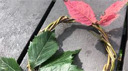 Atelier lecture et nature : le printemps_Bourg-Saint-Maurice - Médialudothèque de Bourg Saint Mauric