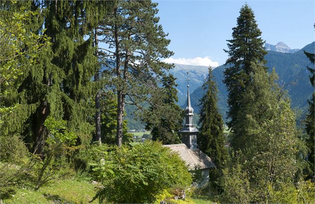 Visite guidée du Jardin botanique alpin La Jaÿsinia