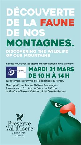 Affiche découverte de la faune de nos montagnes - Val d'Isère Téléphériques