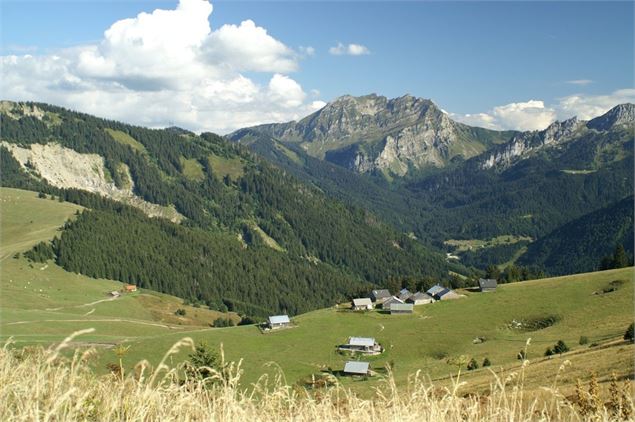 Randonnée au cœur des alpages de Vallon - Semaines du Géoparc_Bellevaux - OT Alpes du Léman