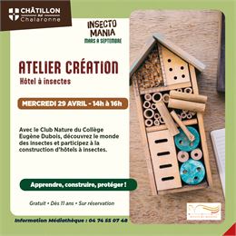 Création d'hôtels à insectes_Châtillon-sur-Chalaronne