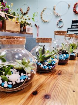 terrarium - POMVIOLETTE