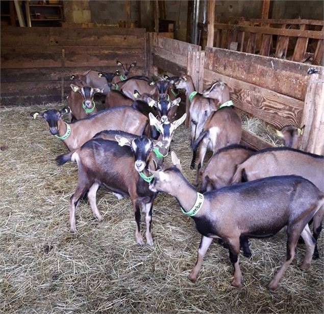 ferme de Noirecombe - Angélique Duboc