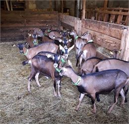 ferme de Noirecombe - Angélique Duboc