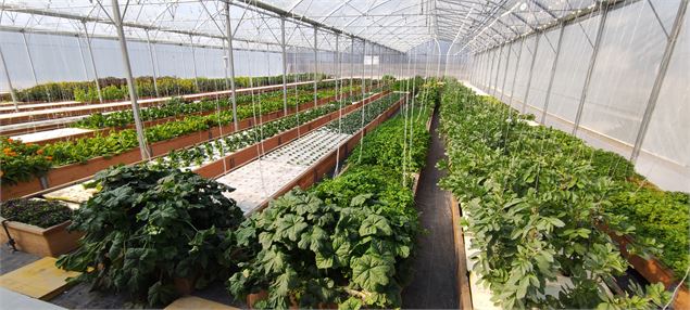 la ferme aquaponique - la ferme aquaponique