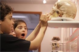 Photo prise dans le musée - Musée de Préhistoire et Géologie