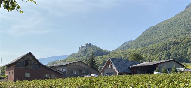 Apéro'Vignes au Domaine Bouvet_Fréterive - domaine Bouvet