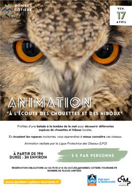 Animation "à l'écoute des chouettes et des hiboux"_Beynost - DCT