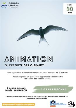 animation "à l'écoute des oiseaux" - Dombes Côtière Tourisme