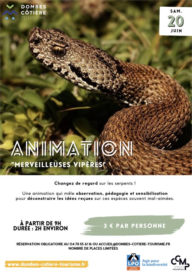 Animation 
